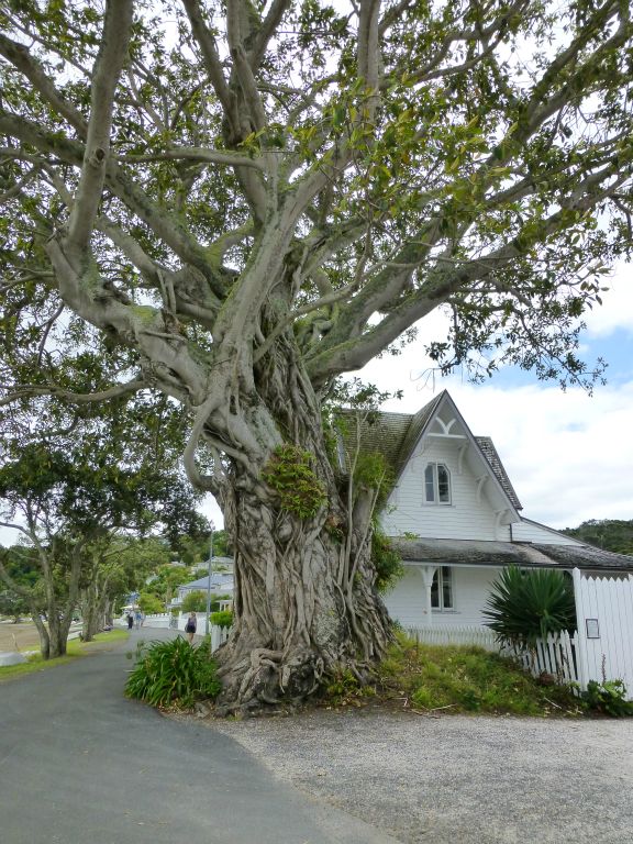 Russell, Bay of Islands.