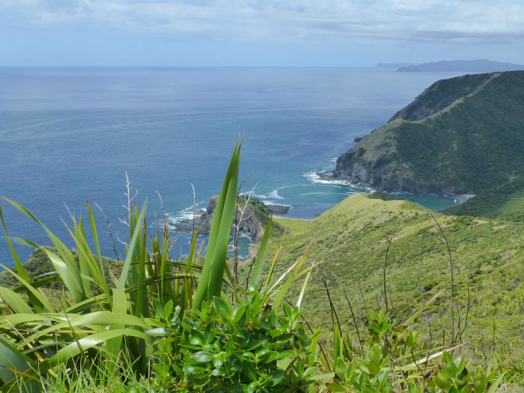 Cape Reinga, generally regarded the northern-most tip of New Zealand.