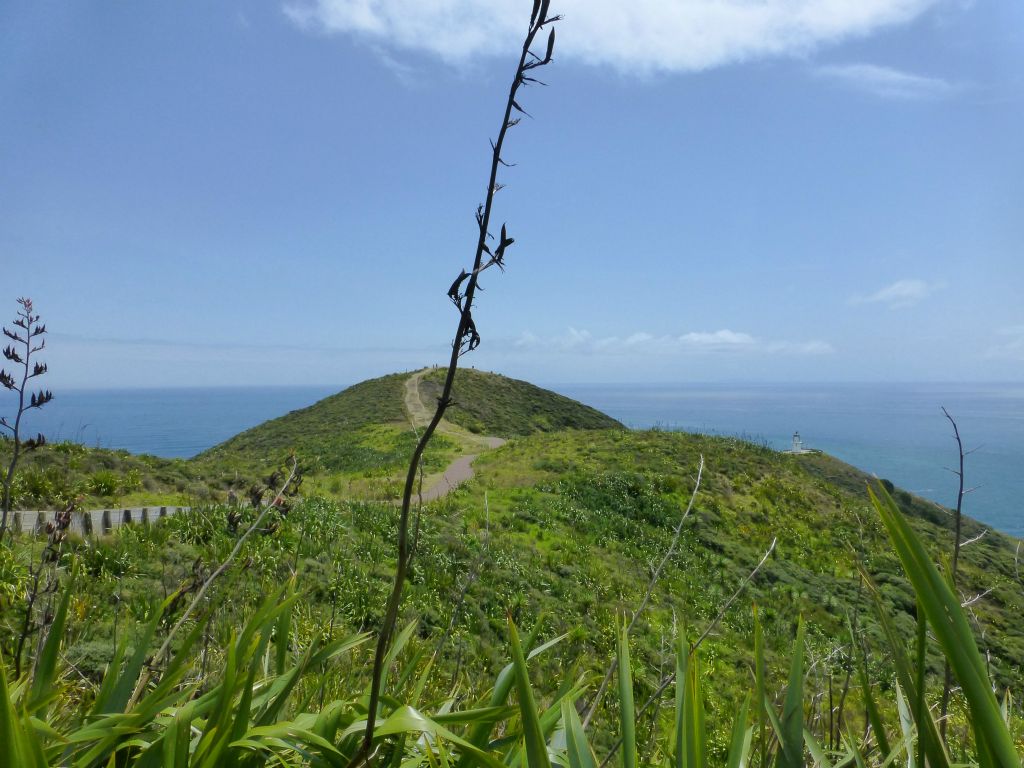 Cape Reinga, generally regarded the northern-most tip of New Zealand.